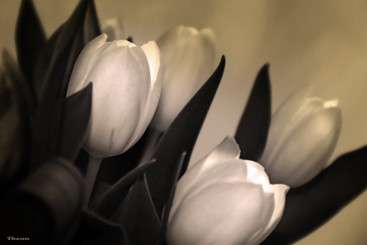 623441 (a): :2560x1707